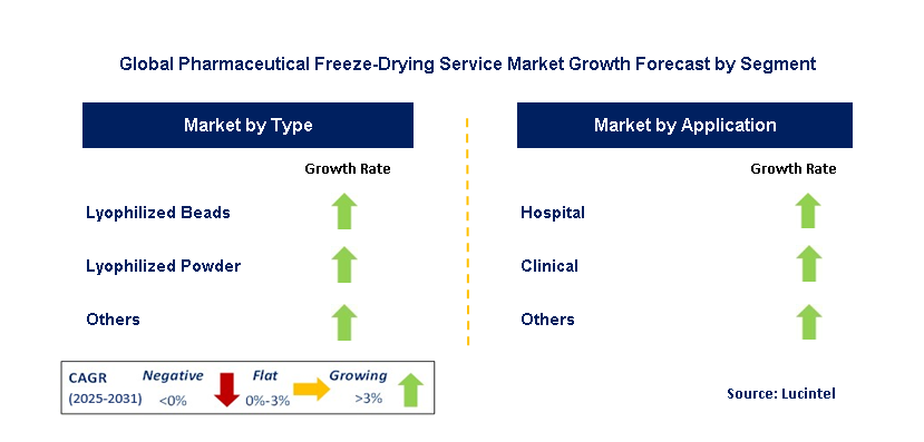 Pharmaceutical Freeze-Drying Service Market by Segment